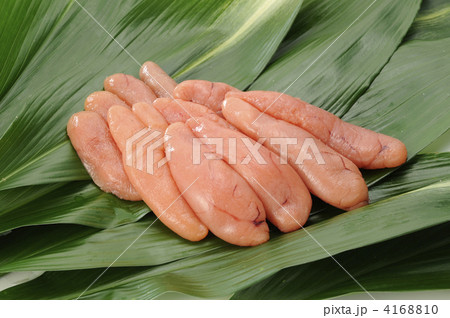 新鮮たらこ 新鮮たらこ 4168810