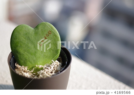 ラブハートに描かれたLOVE 4169566