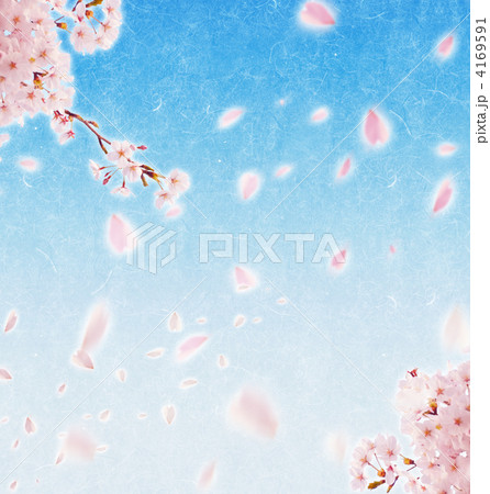 桜の花 桜吹雪 さくら吹雪のイラスト素材