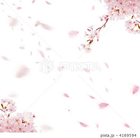 綺麗な桜の 花びら 桜 散る イラスト ディズニー画像のすべて