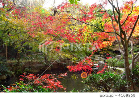 秋の楽水園 4169859