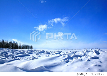 冬の田園 4170175