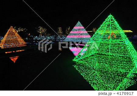 あしかがフラワーパーク　イルミネーション 4170917