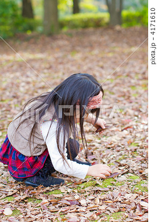 どんぐりを集める女の子 4171610