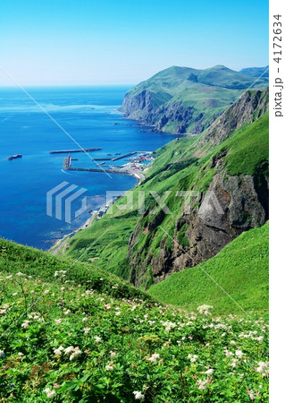 礼文島 礼文島 4172634