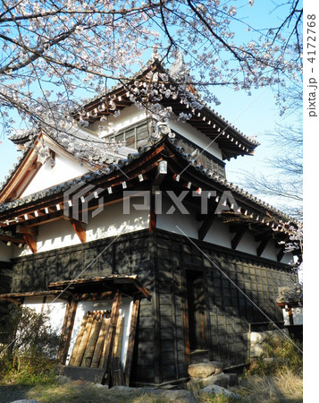 郡山城の桜 郡山城の桜 4172768