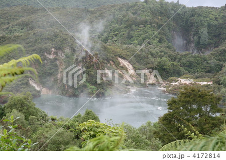 蒸気立つワイマング火山渓谷のフライパン湖 蒸気立つワイマング火山渓谷のフライパン湖 4172814