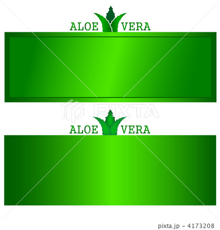 アロエフレーム 4173208