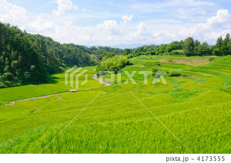 長野県飯田市 よこね田んぼの写真素材