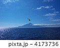 礼文島 4173736