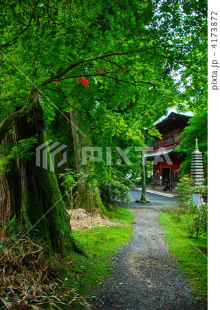 「文殊楼」付近(比叡山延暦寺・東塔地区/滋賀県大津市坂本本町) 「文殊楼」付近(比叡山延暦寺・東塔地区/滋賀県大津市坂本本町) 4173872