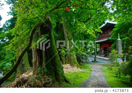 「文殊楼」付近(比叡山延暦寺・東塔地区/滋賀県大津市坂本本町) 「文殊楼」付近(比叡山延暦寺・東塔地区/滋賀県大津市坂本本町) 4173873