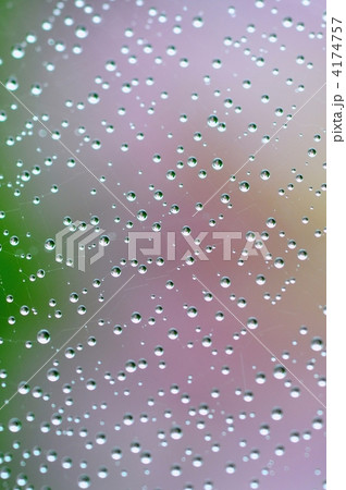 雨のしずく 4174757