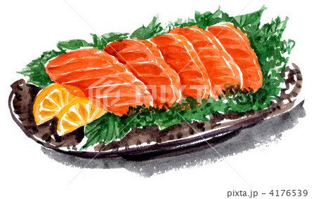 salmon12223pix 4176539