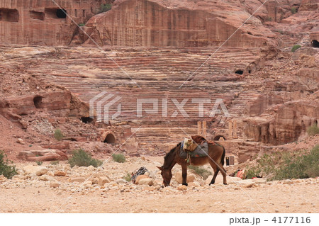 ペトラ エドディルへの道 ペトラ エドディルへの道 4177116