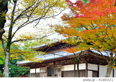 秋の観世音寺 4180321