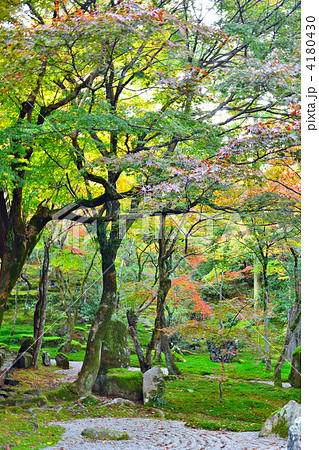 秋の光明禅寺 4180430