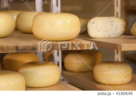 熟成庫のチーズ 熟成庫のチーズ 4180646