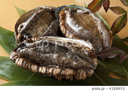 活あわび 4180653