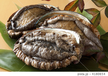 活あわび 4180654