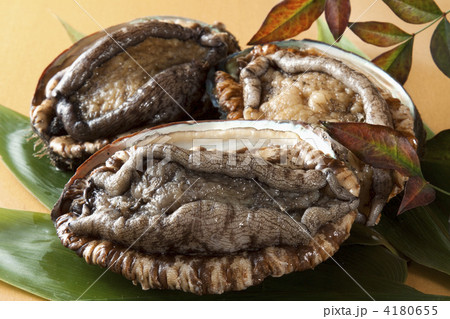 活あわび 4180655