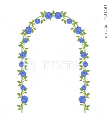 バラ(青色)のアーチ バラ(青色)のアーチ 4181168