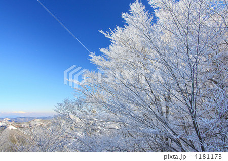 雪の華 雪の華 4181173