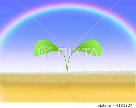 若葉　虹　青空　イラスト 4181324