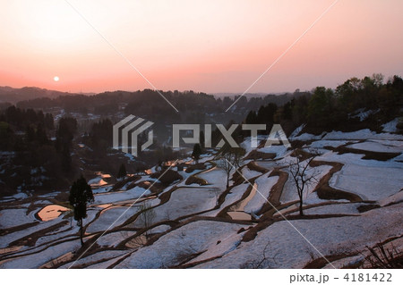 蒲生の棚田（夜明） 4181422