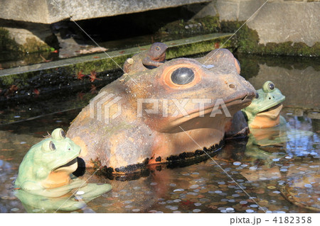 天龍寺 天龍寺 4182358