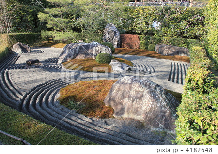 退蔵院 退蔵院 4182648