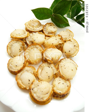 帆立料理 4183565