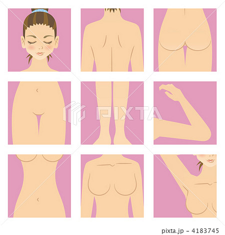 女性のパーツ 4183745