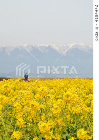 比良山系 4184442