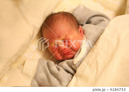生後１週間の赤ちゃんの写真素材