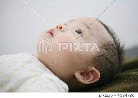 生後６ヶ月の赤ちゃん 横顔アップの写真素材