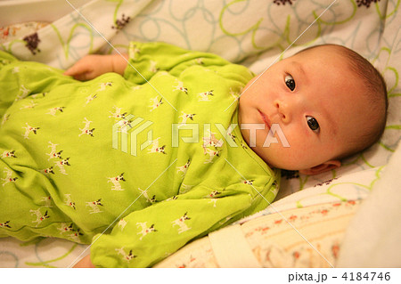 生後２ヶ月の赤ちゃんの写真素材