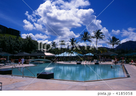 夏のプールサイド（ハワイ） 4185058