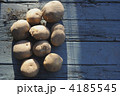 4185545