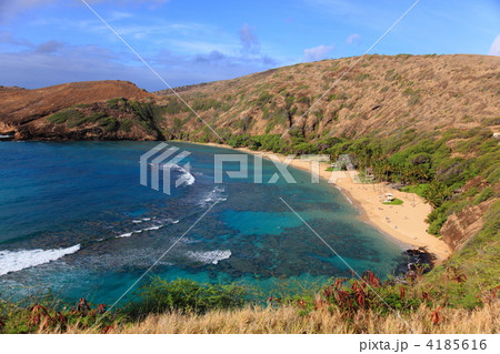 ハワイ オアフ島 ハナウマ湾 ビーチ ハワイ オアフ島 ハナウマ湾 ビーチ 4185616
