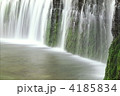 4185834
