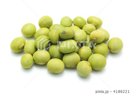 青大豆 青大豆 4186221