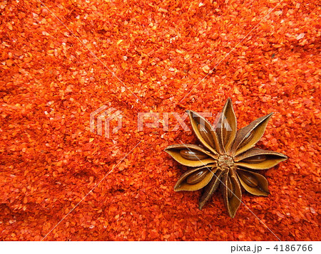 スターアニス 4186766