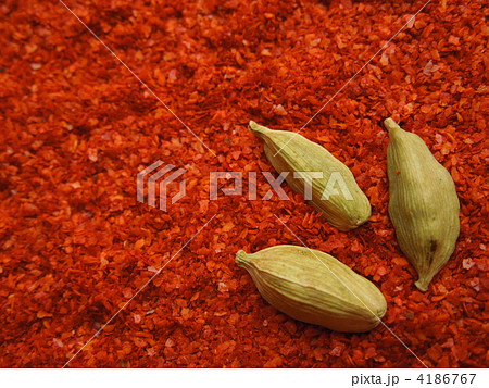 カルダモン 4186767