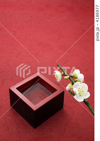 枡酒と梅の花 枡酒と梅の花 4186977