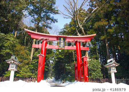 弥彦神社の鳥居 4186979