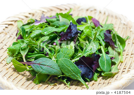 ベビーリーフ+盆ざる ベビーリーフ+盆ざる 4187504