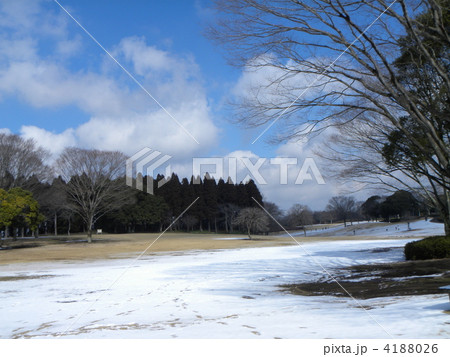 昭和の森太陽の広場の雪景色 昭和の森太陽の広場の雪景色 4188026