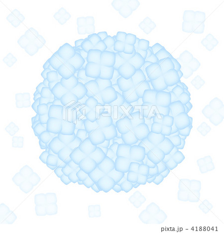 紫陽花 4188041