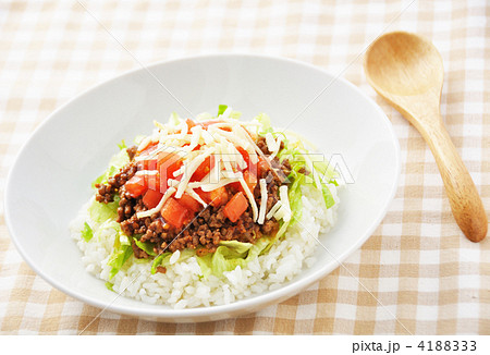 タコライス 4188333